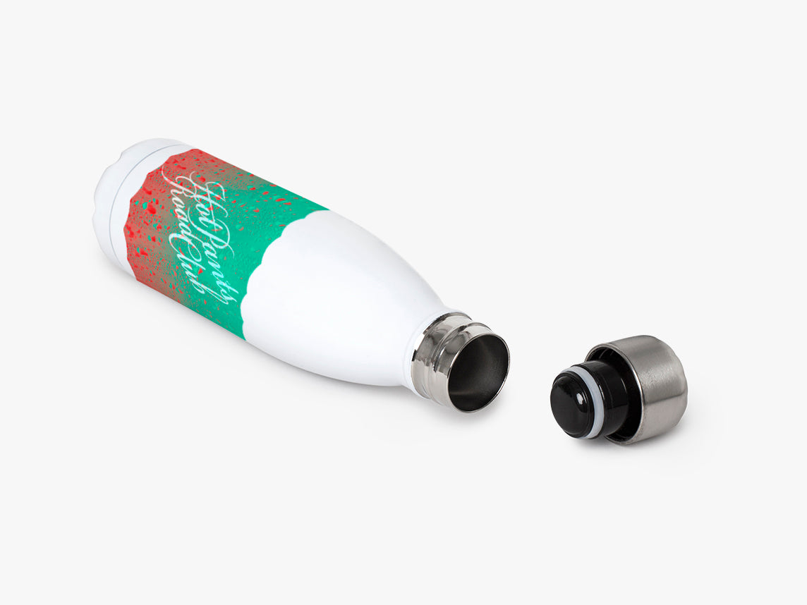 Insulated stainless steel bottles