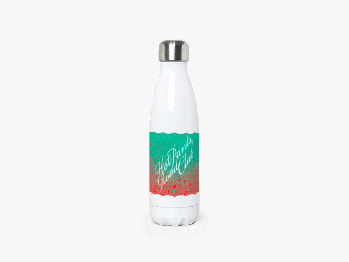 Insulated stainless steel bottles