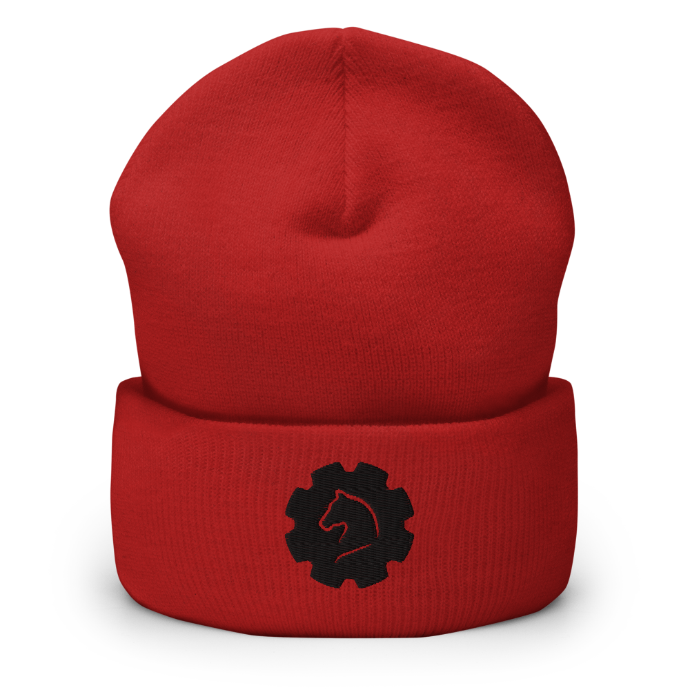 TUS-30121 Beanie #stick #gear