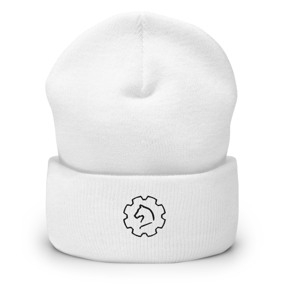 TUS-30120 Beanie #stick #outlines