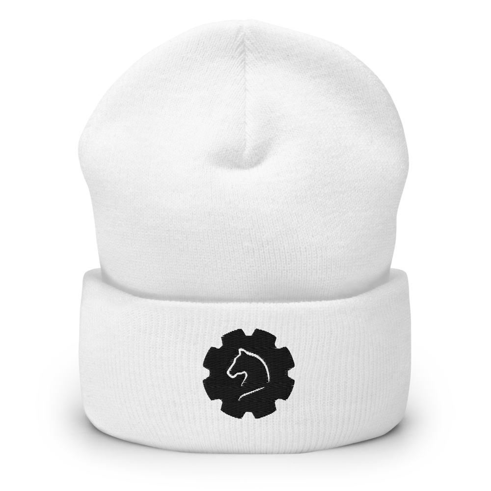 TUS-30121 Beanie #stick #gear