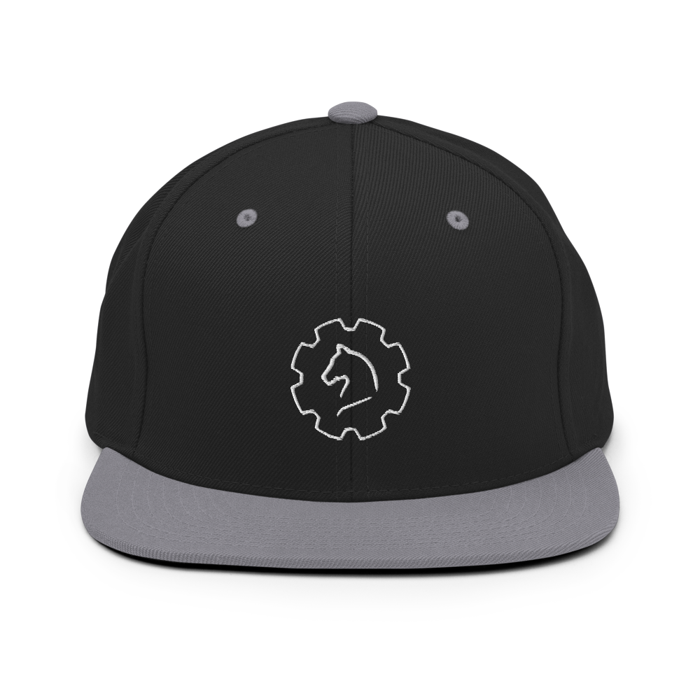 TUS-31150 Snapback-Cap #stick #logo