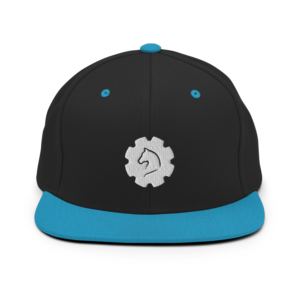 TUS-31151 Snapback-Cap #stick #gear
