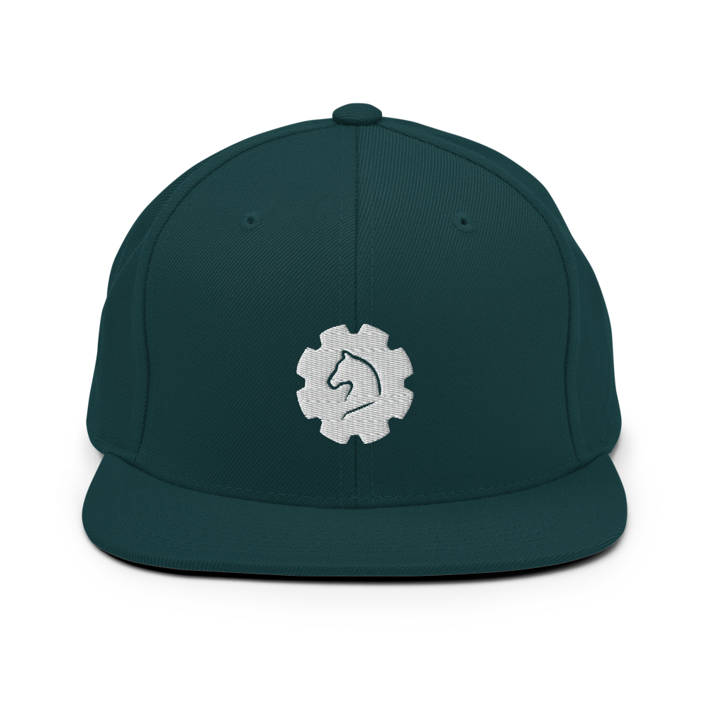 TUS-31151 Snapback-Cap #stick #gear