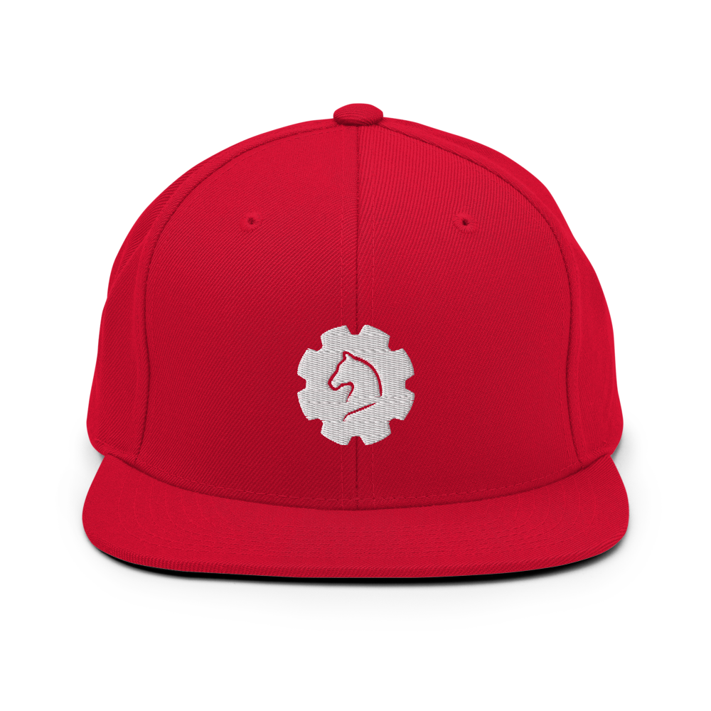 TUS-31151 Snapback-Cap #stick #gear