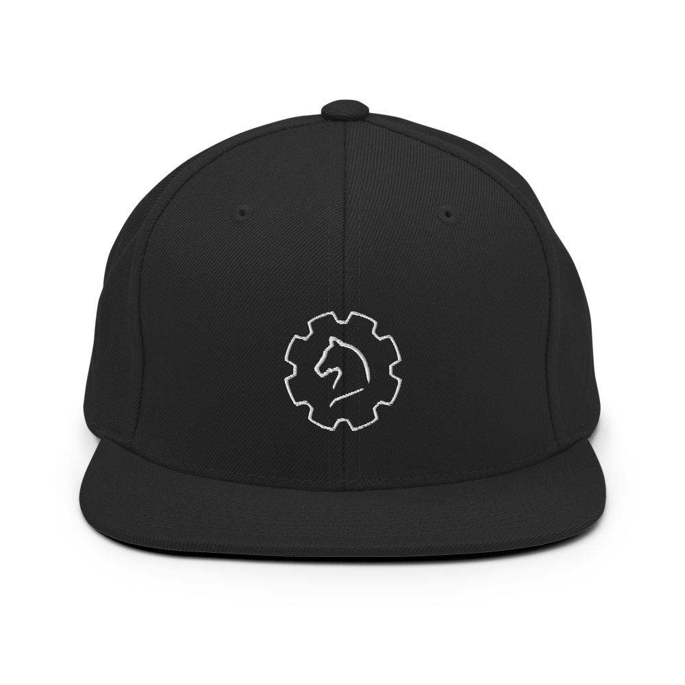 TUS-31150 Snapback-Cap #stick #logo