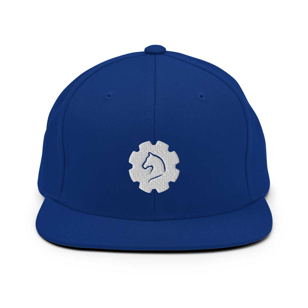 TUS-31151 Snapback-Cap #stick #gear
