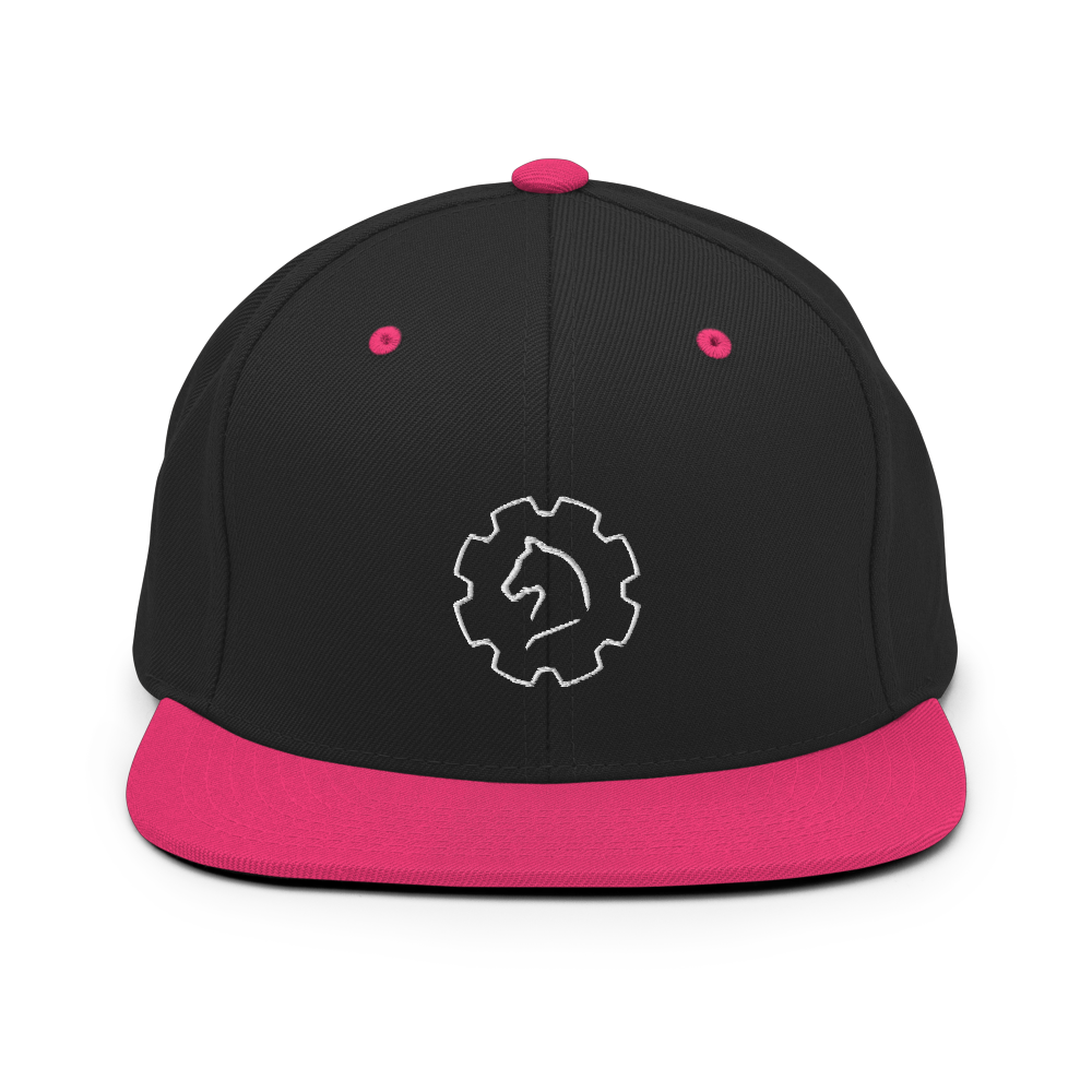 TUS-31150 Snapback-Cap #stick #logo