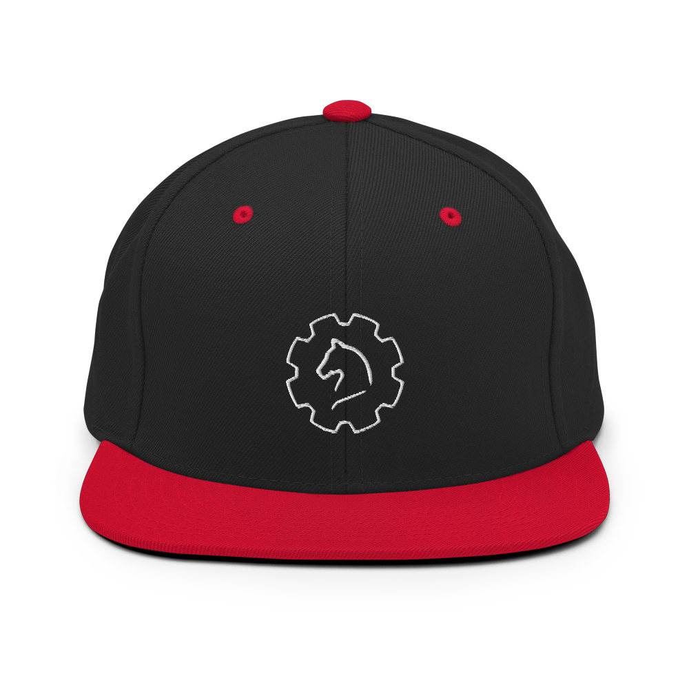 TUS-31150 Snapback-Cap #stick #logo