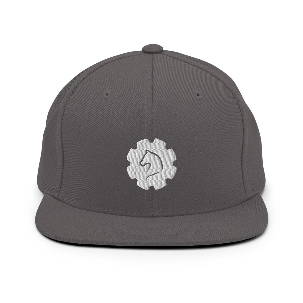 TUS-31151 Snapback-Cap #stick #gear