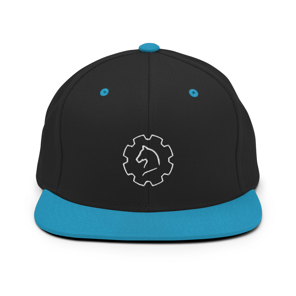 TUS-31150 Snapback-Cap #stick #logo