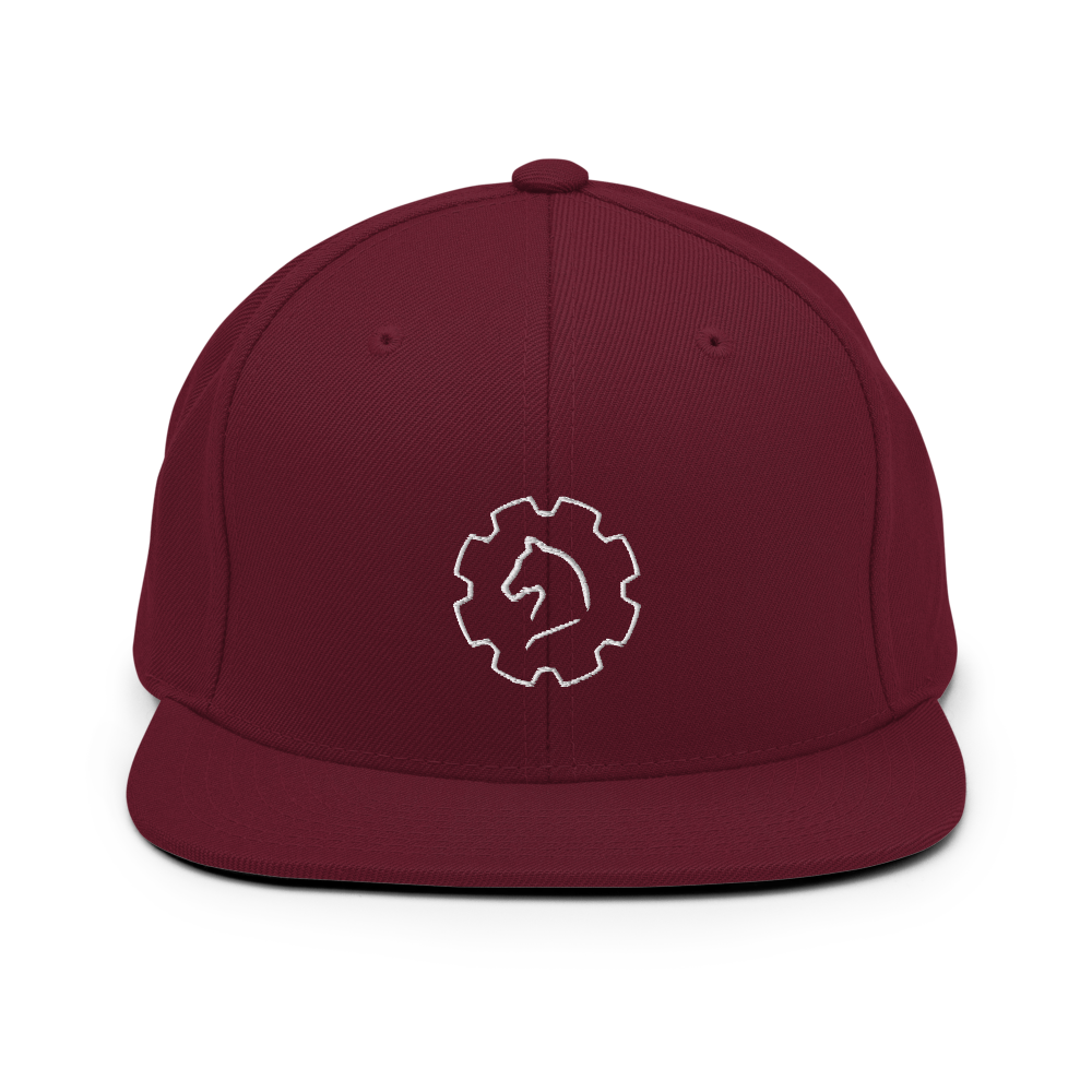 TUS-31150 Snapback-Cap #stick #logo