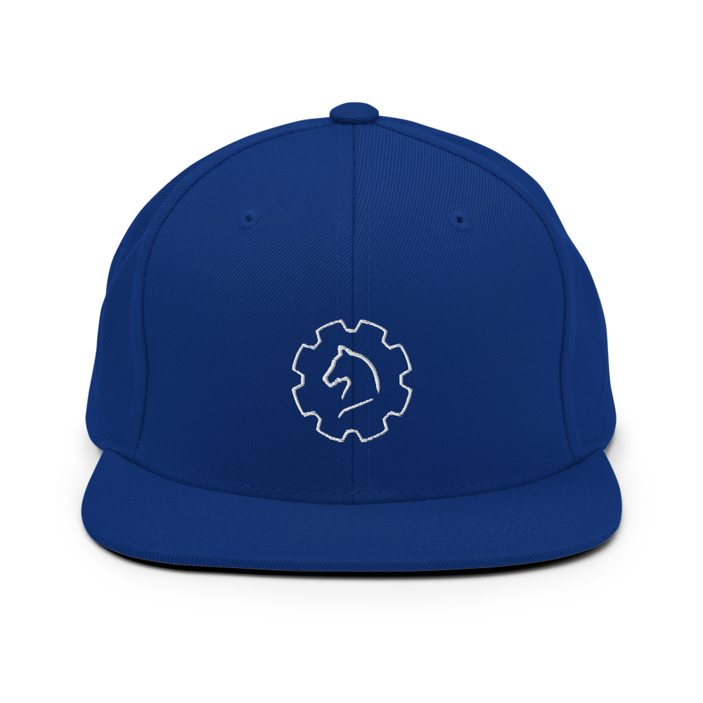 TUS-31150 Snapback-Cap #stick #logo