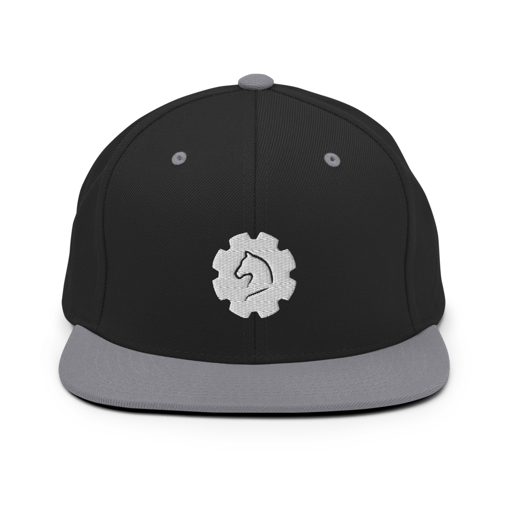 TUS-31151 Snapback-Cap #stick #gear
