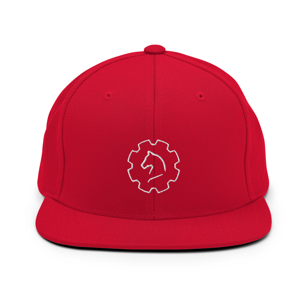 TUS-31150 Snapback-Cap #stick #logo