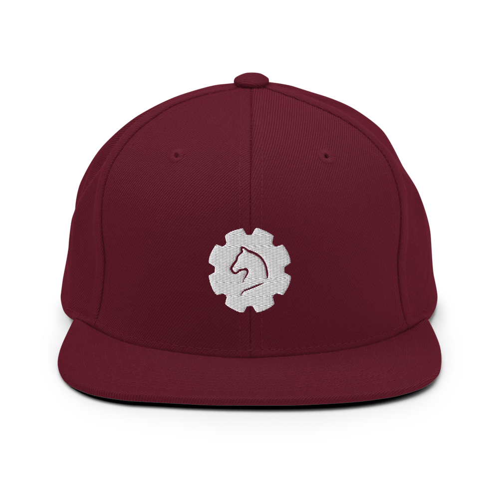 TUS-31151 Snapback-Cap #stick #gear