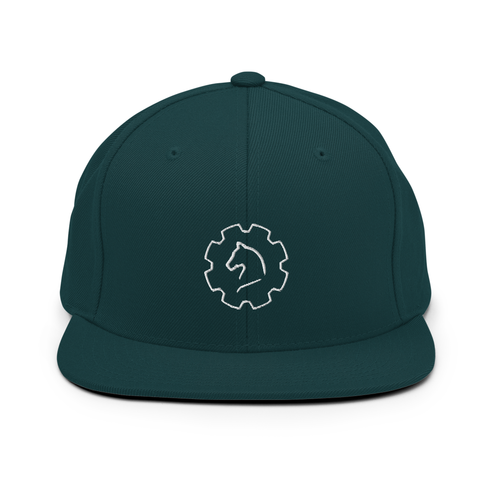 TUS-31150 Snapback-Cap #stick #logo