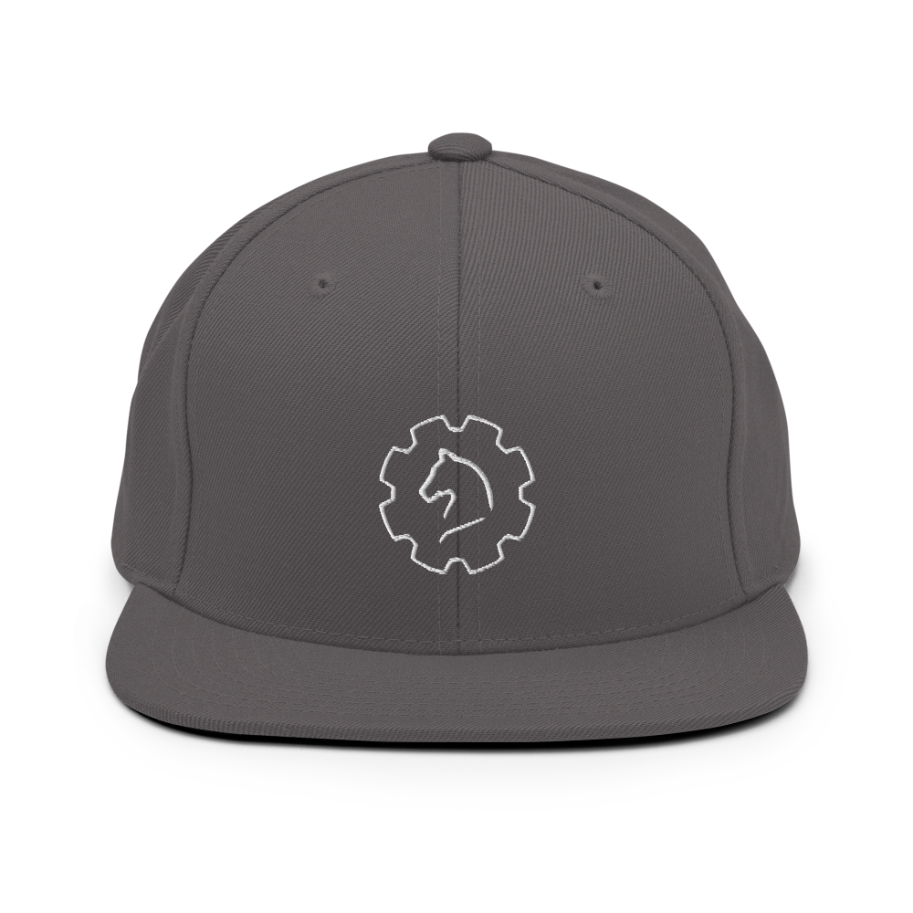 TUS-31150 Snapback-Cap #stick #logo