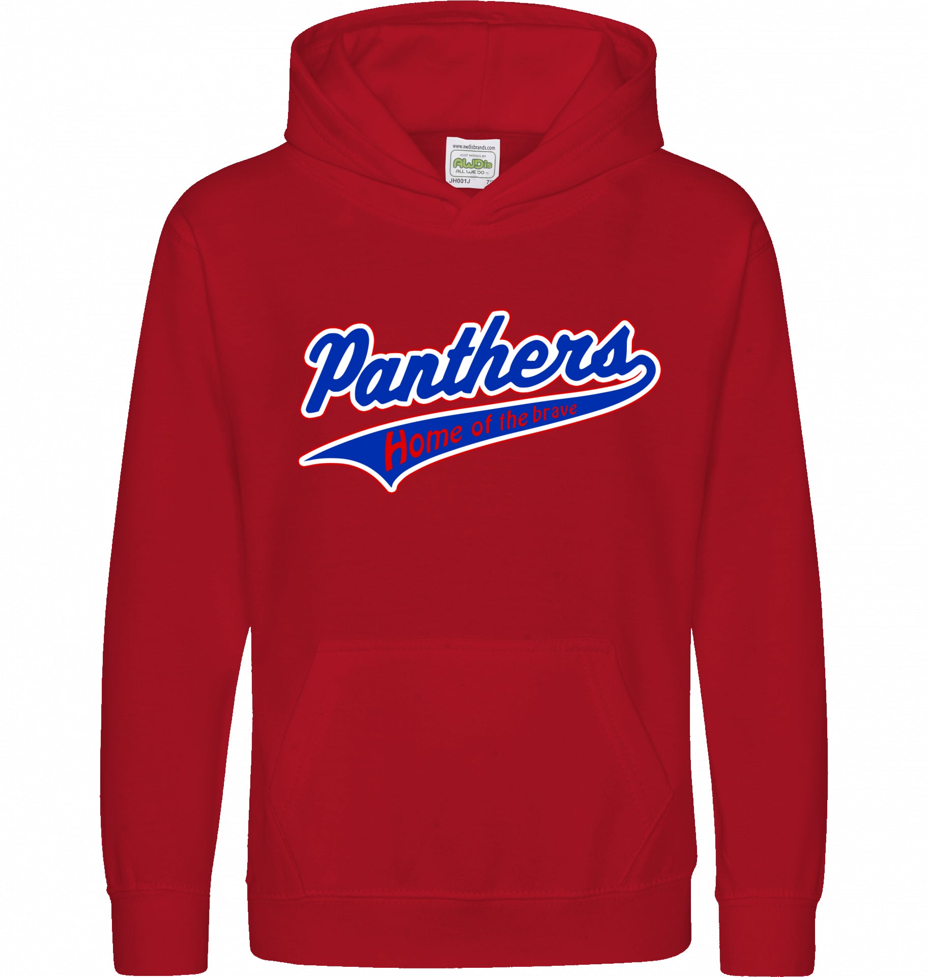 Panthers HOODIE youth